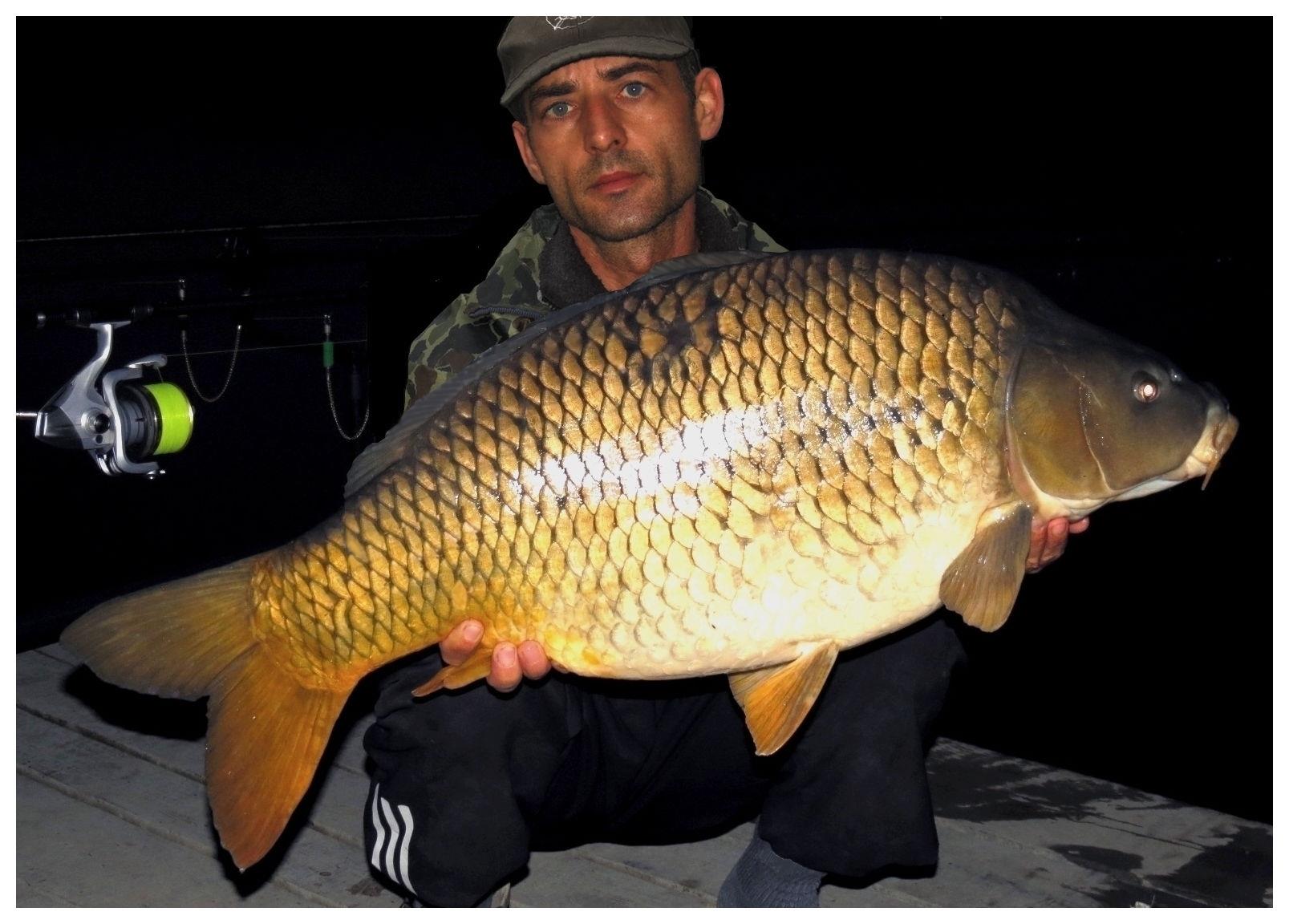 The best pictures of 2013 - 15,450